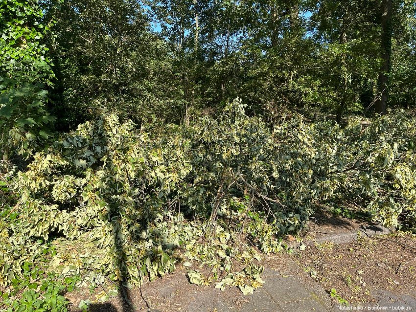 Fashion Dolls 518 — Туризм и путешествия: фотоотчеты из поездок