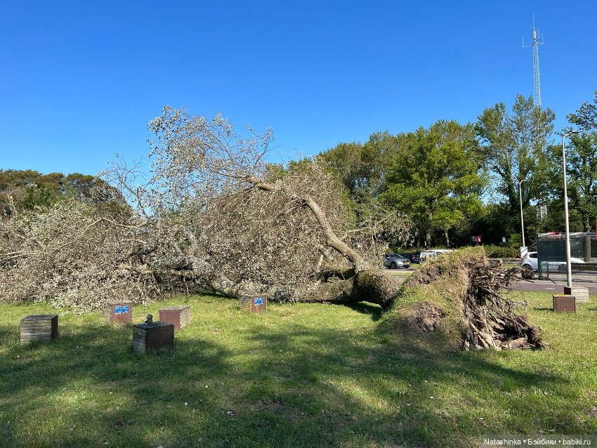 Fashion Dolls 518 — Туризм и путешествия: фотоотчеты из поездок