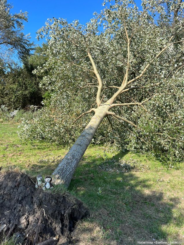 Fashion Dolls 518 — Туризм и путешествия: фотоотчеты из поездок