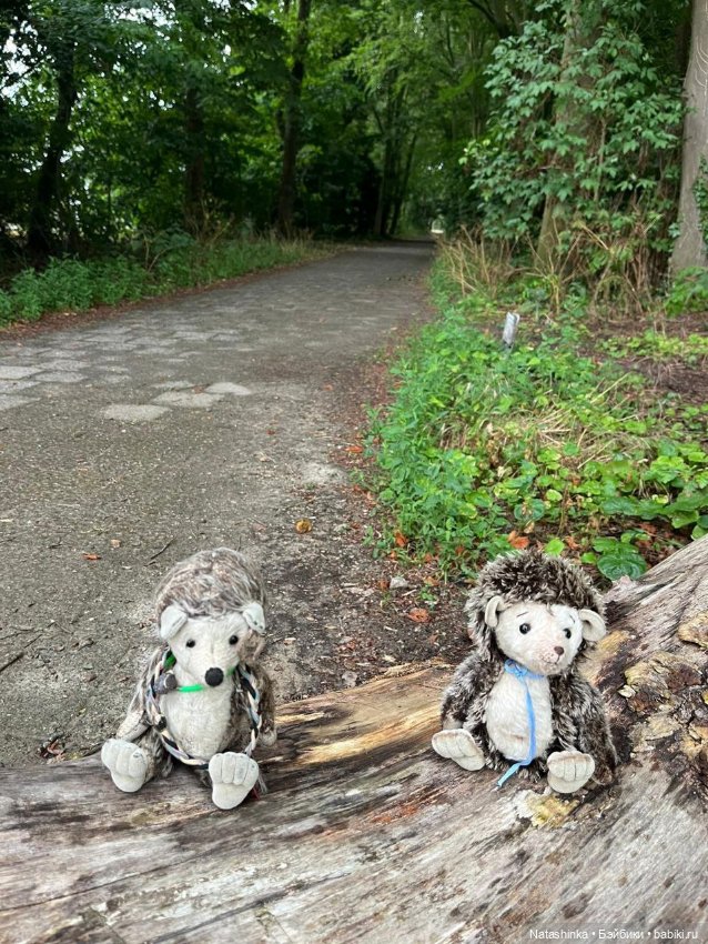 Fashion Dolls 518 — Туризм и путешествия: фотоотчеты из поездок