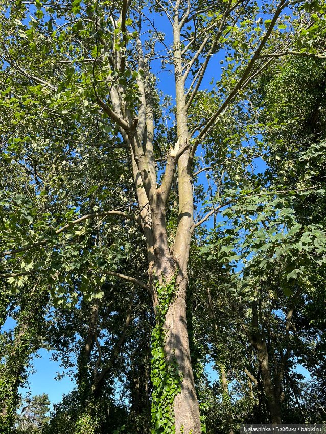 Fashion Dolls 518 — Туризм и путешествия: фотоотчеты из поездок