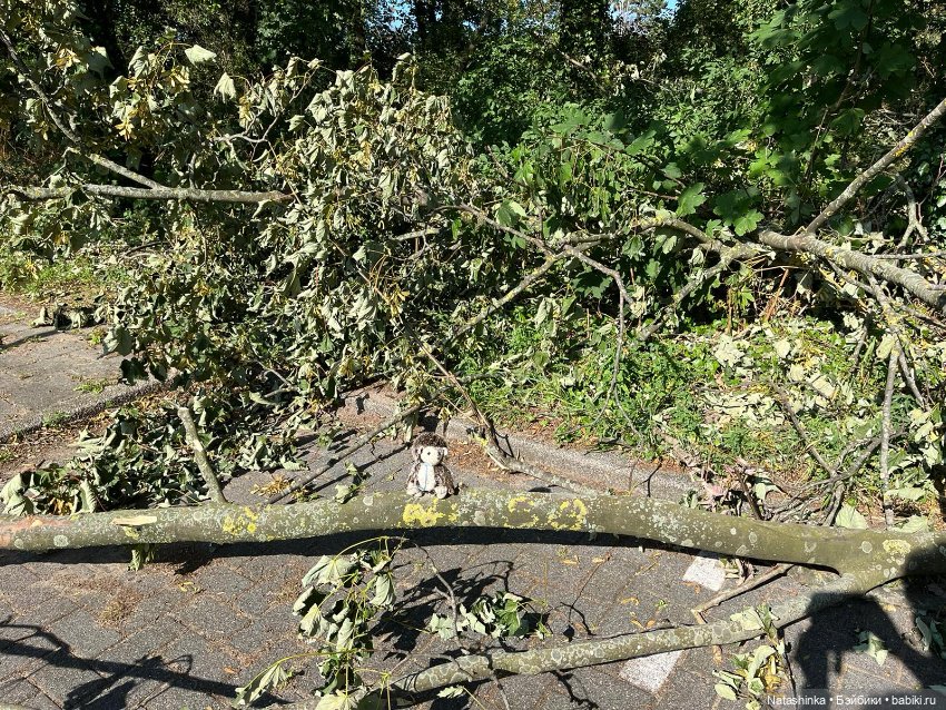 Fashion Dolls 518 — Туризм и путешествия: фотоотчеты из поездок