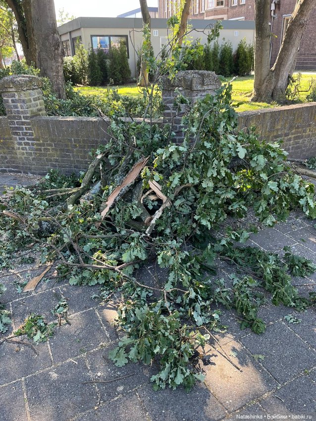 Fashion Dolls 518 — Туризм и путешествия: фотоотчеты из поездок