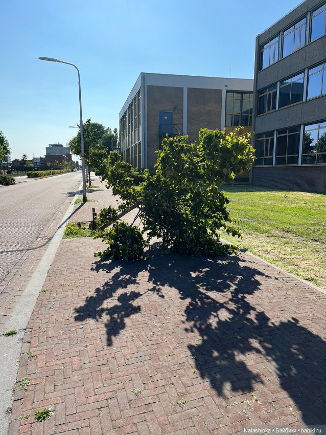 Fashion Dolls 518 — Туризм и путешествия: фотоотчеты из поездок