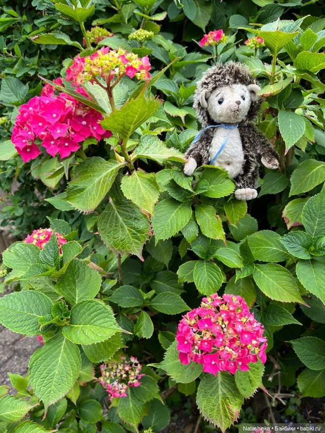 Fashion Dolls 518 — Туризм и путешествия: фотоотчеты из поездок (фото 7)