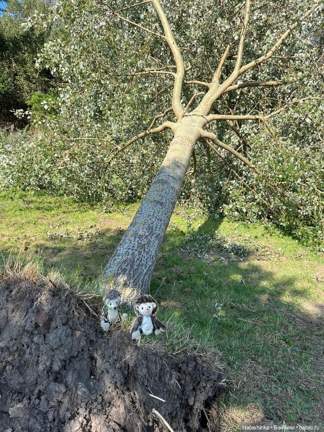 Fashion Dolls 518 — Туризм и путешествия: фотоотчеты из поездок