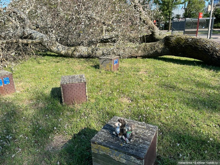 Fashion Dolls 518 — Туризм и путешествия: фотоотчеты из поездок