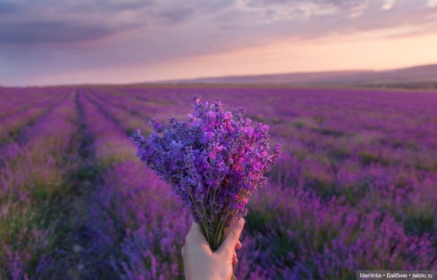 Крымский Прованс — Куклы Paola Reina (Паола Рейна): новинки