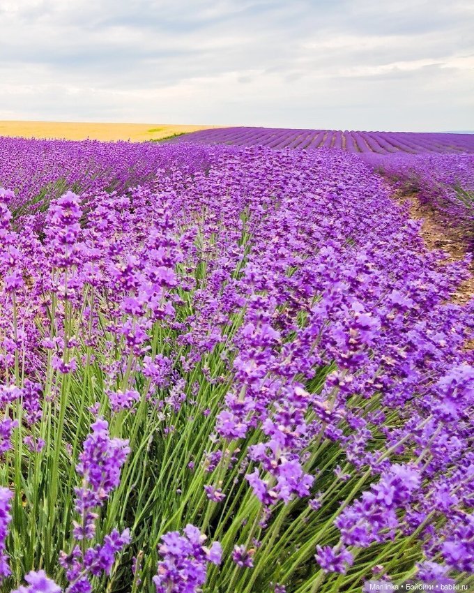 Крымский Прованс — Куклы Paola Reina (Паола Рейна): новинки