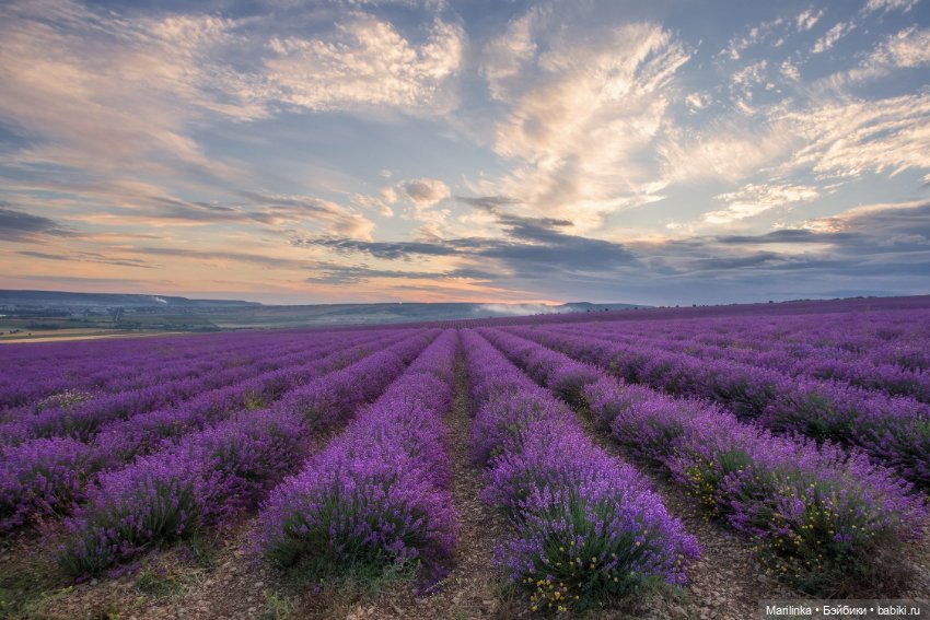 Крымский Прованс — Куклы Paola Reina (Паола Рейна): новинки