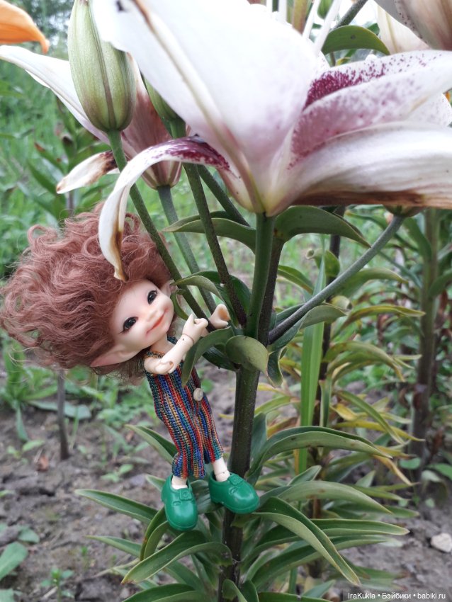 Дюймовочка — Фотоистории с куклами BJD (БЖД): сериалы (фото 8)