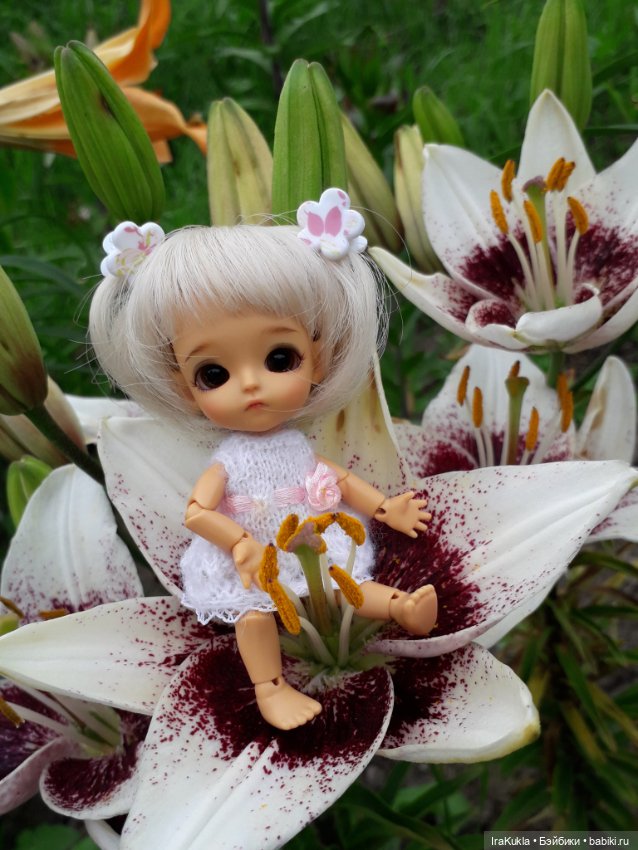 Дюймовочка — Фотоистории с куклами BJD (БЖД): сериалы (фото 6)