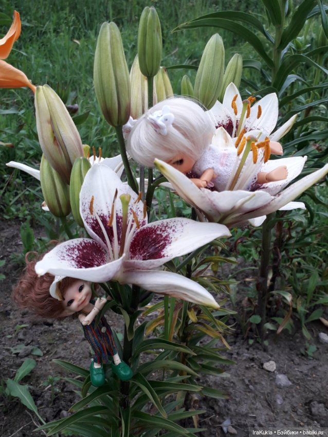 Дюймовочка — Фотоистории с куклами BJD (БЖД): сериалы (фото 10)