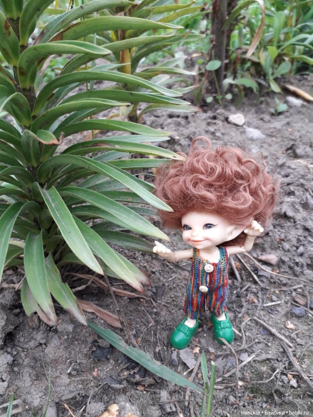 Дюймовочка — Фотоистории с куклами BJD (БЖД): сериалы (фото 2)