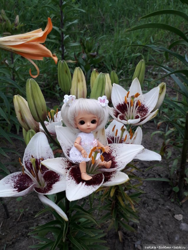 Дюймовочка — Фотоистории с куклами BJD (БЖД): сериалы (фото 4)