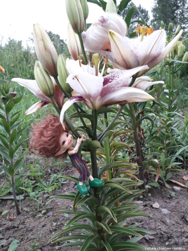 Дюймовочка — Фотоистории с куклами BJD (БЖД): сериалы (фото 7)