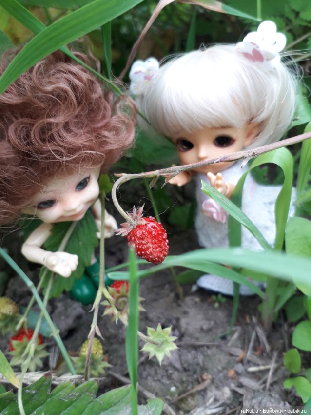 Дюймовочка — Фотоистории с куклами BJD (БЖД): сериалы