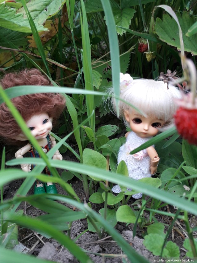 Дюймовочка — Фотоистории с куклами BJD (БЖД): сериалы