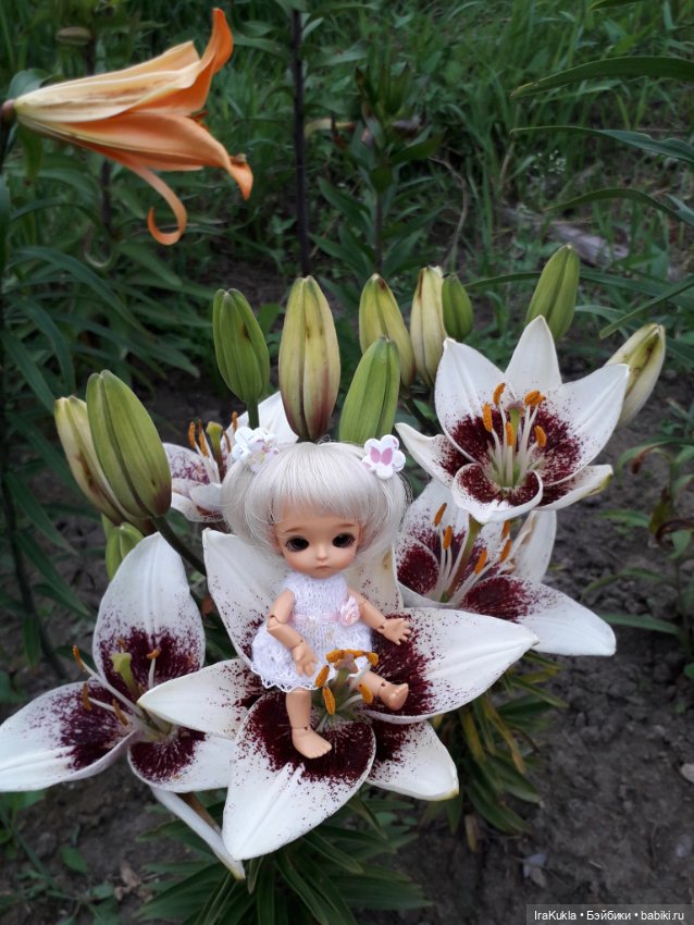 Дюймовочка — Фотоистории с куклами BJD (БЖД): сериалы (фото 5)