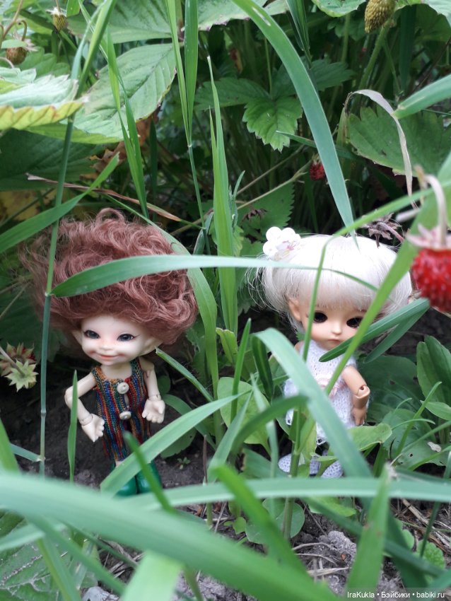 Дюймовочка — Фотоистории с куклами BJD (БЖД): сериалы