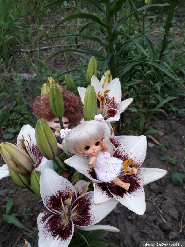 Дюймовочка — Фотоистории с куклами BJD (БЖД): сериалы