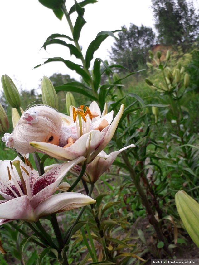 Дюймовочка — Фотоистории с куклами BJD (БЖД): сериалы (фото 9)