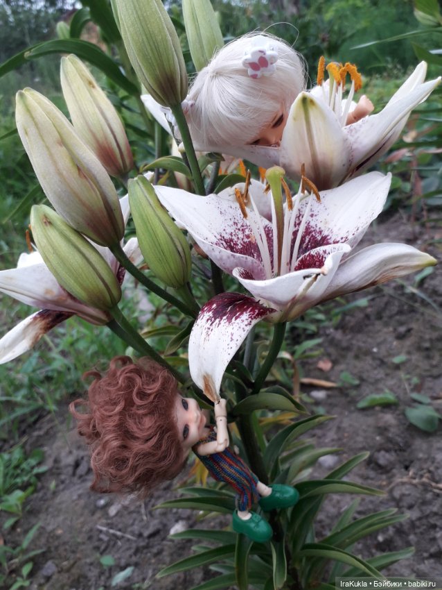 Дюймовочка — Фотоистории с куклами BJD (БЖД): сериалы