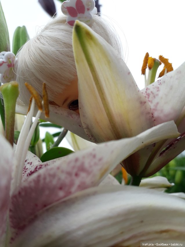 Дюймовочка — Фотоистории с куклами BJD (БЖД): сериалы (фото 3)