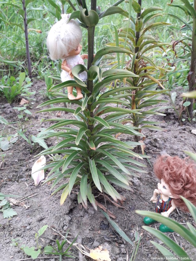 Дюймовочка — Фотоистории с куклами BJD (БЖД): сериалы