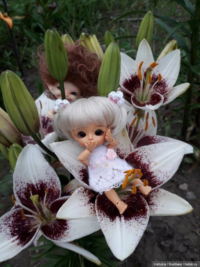 Дюймовочка — Фотоистории с куклами BJD (БЖД): сериалы