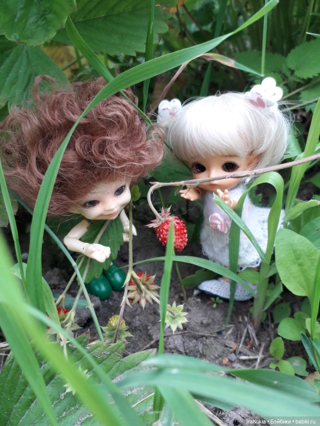 Дюймовочка — Фотоистории с куклами BJD (БЖД): сериалы