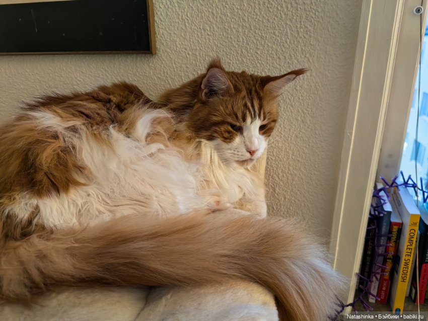 Музыкальная история 12 — Туризм и путешествия: фотоотчеты из поездок