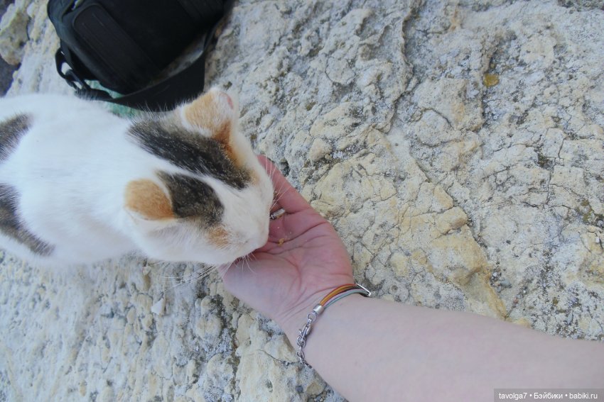 "И, когда гроза прошла стороной."