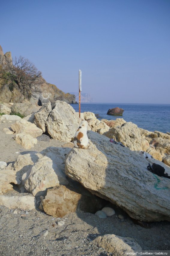 "И, когда гроза прошла стороной." (фото 6)