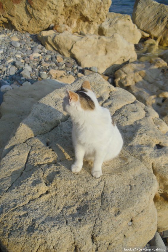 "И, когда гроза прошла стороной." (фото 10)