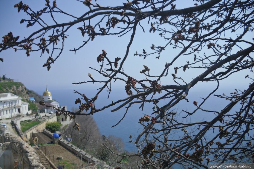 "И, когда гроза прошла стороной." (фото 2)