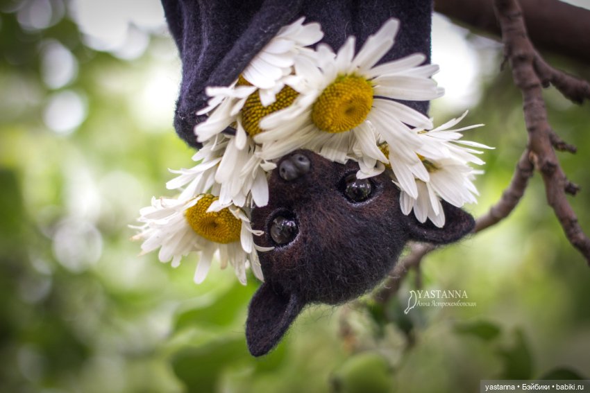 Летучий лисенок — Валяные игрушки из шерсти: сухое валяние