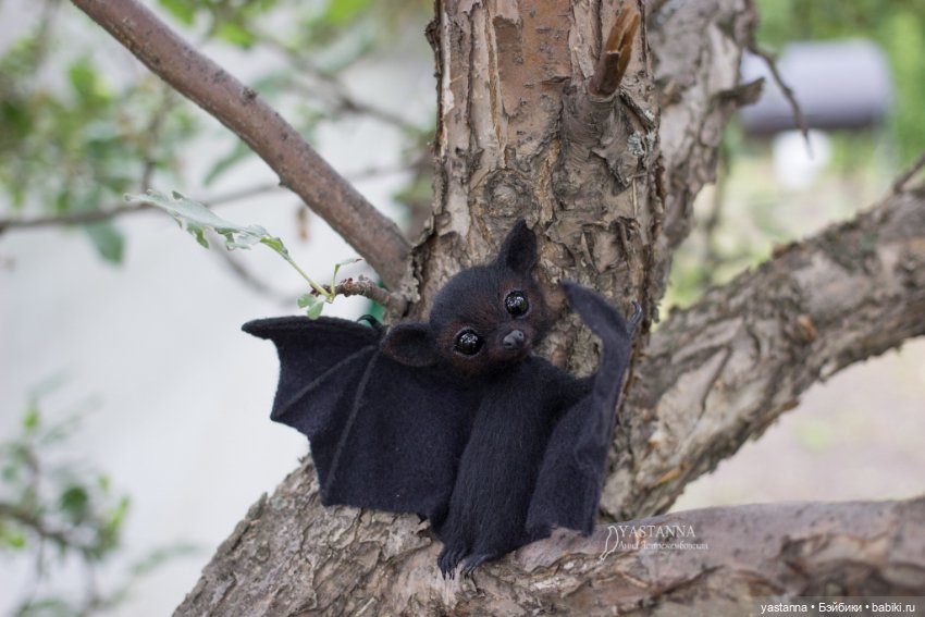 Летучий лисенок — Валяные игрушки из шерсти: сухое валяние