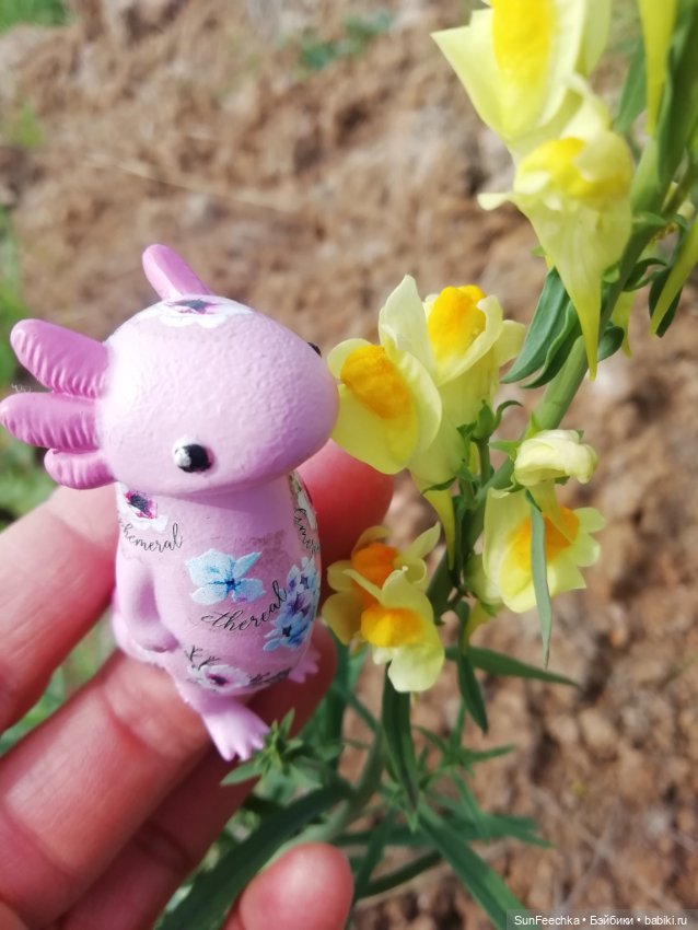 Кака на раскопках — Куклы с Алиэкспресс (Aliexpress): Китайские шарнирные (фото 5)