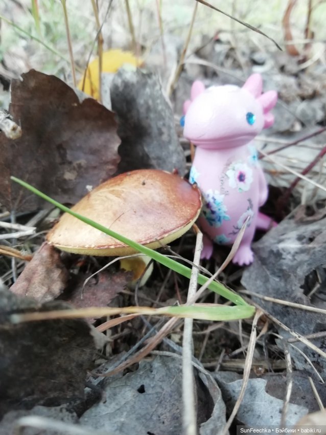 Какин грибной улов — Куклы с Алиэкспресс (Aliexpress): Китайские шарнирные (фото 2)