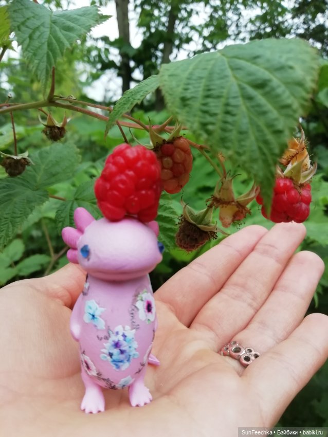 Какин грибной улов — Куклы с Алиэкспресс (Aliexpress): Китайские шарнирные