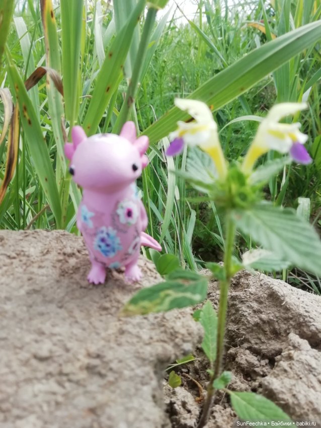 Кака на раскопках — Куклы с Алиэкспресс (Aliexpress): Китайские шарнирные (фото 2)