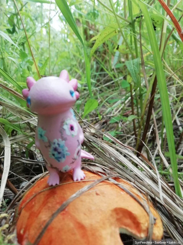 Какин грибной улов — Куклы с Алиэкспресс (Aliexpress): Китайские шарнирные (фото 3)