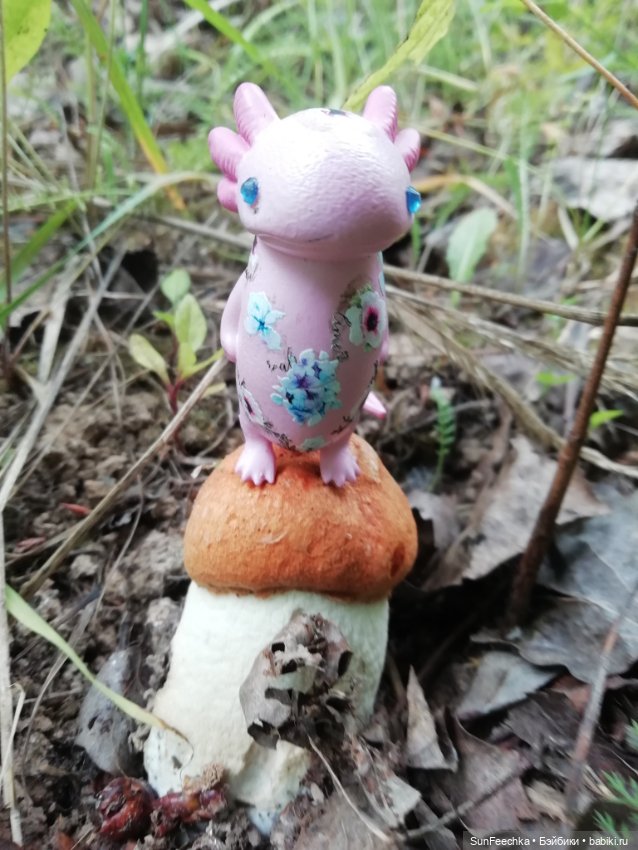 Какин грибной улов — Куклы с Алиэкспресс (Aliexpress): Китайские шарнирные