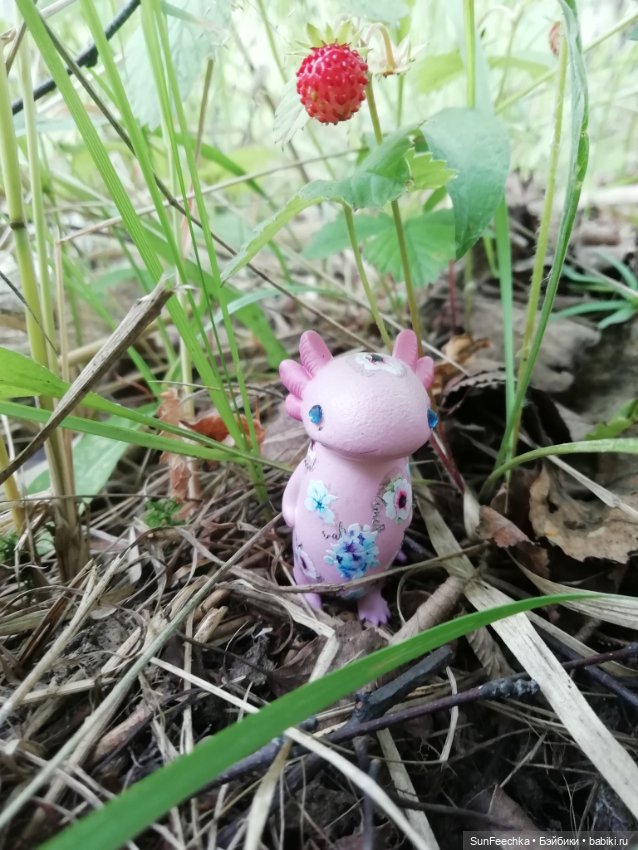 Какин грибной улов — Куклы с Алиэкспресс (Aliexpress): Китайские шарнирные (фото 10)