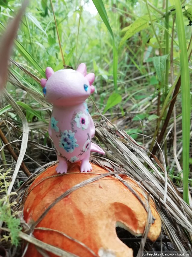 Какин грибной улов — Куклы с Алиэкспресс (Aliexpress): Китайские шарнирные
