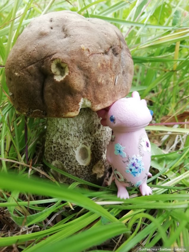 Какин грибной улов — Куклы с Алиэкспресс (Aliexpress): Китайские шарнирные (фото 6)