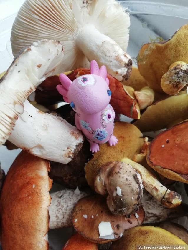 Какин грибной улов — Куклы с Алиэкспресс (Aliexpress): Китайские шарнирные