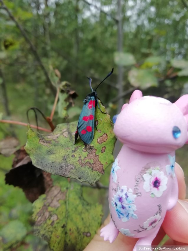 Какин грибной улов — Куклы с Алиэкспресс (Aliexpress): Китайские шарнирные (фото 9)