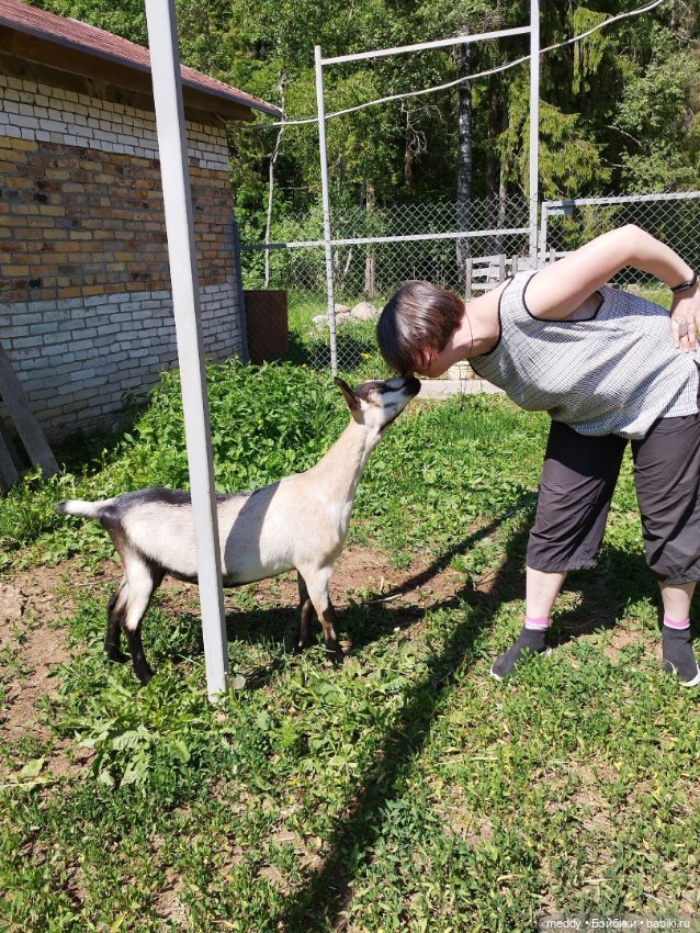 Моя Sto doll Раечка...Год вместе